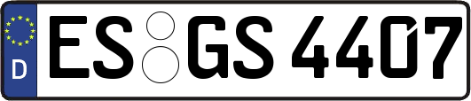 ES-GS4407