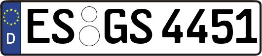ES-GS4451