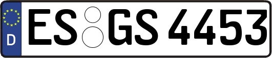 ES-GS4453