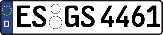 ES-GS4461