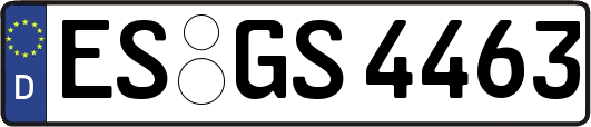 ES-GS4463