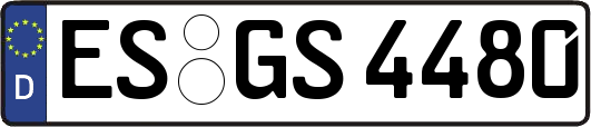 ES-GS4480