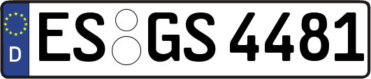ES-GS4481