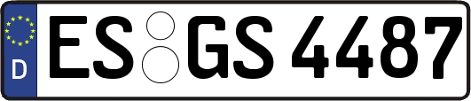 ES-GS4487