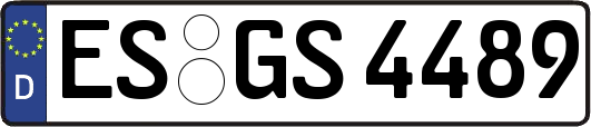 ES-GS4489