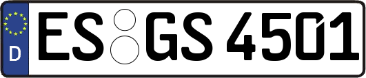 ES-GS4501