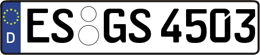 ES-GS4503