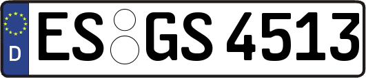 ES-GS4513