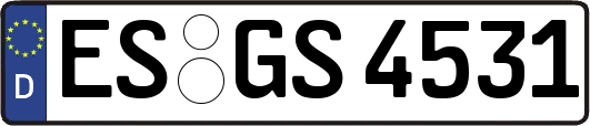ES-GS4531
