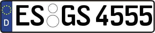 ES-GS4555