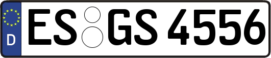 ES-GS4556