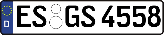 ES-GS4558