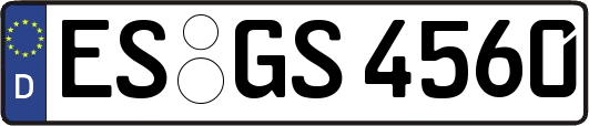 ES-GS4560