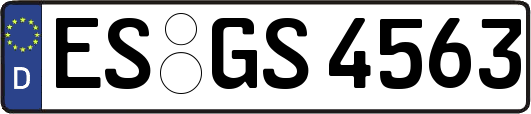 ES-GS4563