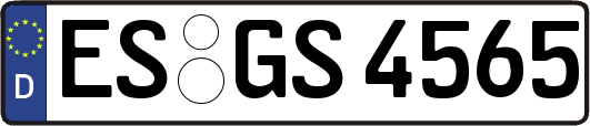 ES-GS4565