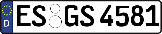 ES-GS4581