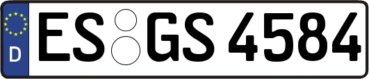 ES-GS4584