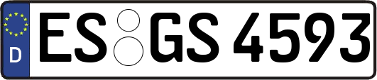 ES-GS4593
