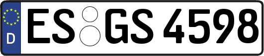 ES-GS4598