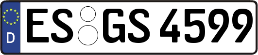 ES-GS4599