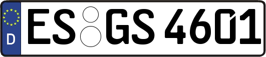 ES-GS4601