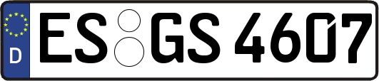 ES-GS4607