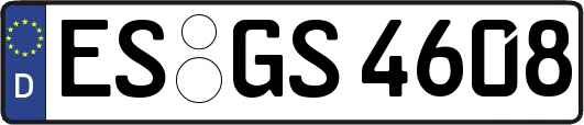 ES-GS4608