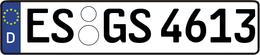 ES-GS4613