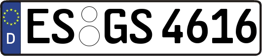ES-GS4616