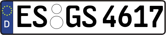 ES-GS4617