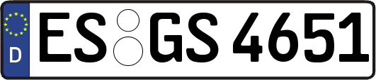 ES-GS4651