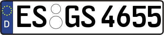 ES-GS4655