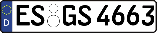 ES-GS4663