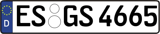 ES-GS4665