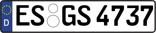 ES-GS4737