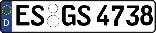 ES-GS4738