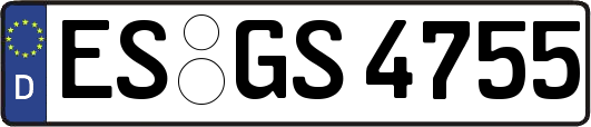 ES-GS4755