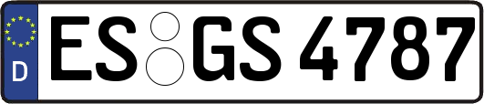 ES-GS4787