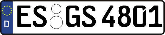 ES-GS4801