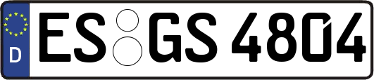 ES-GS4804