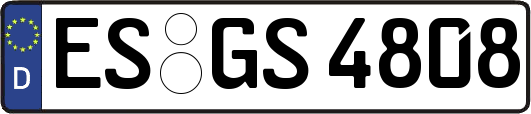 ES-GS4808
