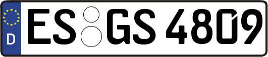ES-GS4809