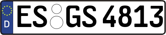 ES-GS4813