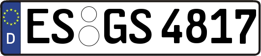 ES-GS4817