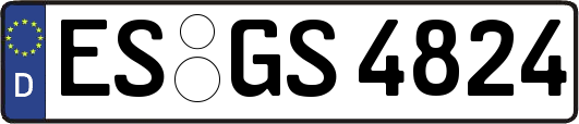 ES-GS4824