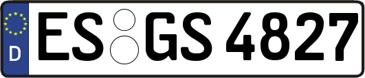ES-GS4827