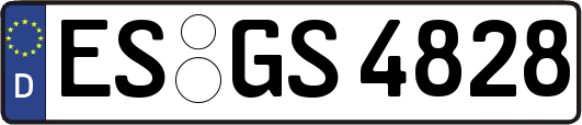 ES-GS4828