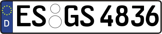 ES-GS4836