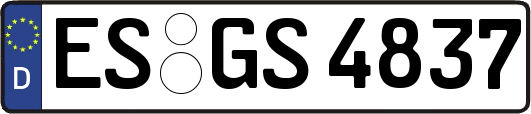 ES-GS4837