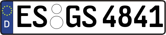 ES-GS4841
